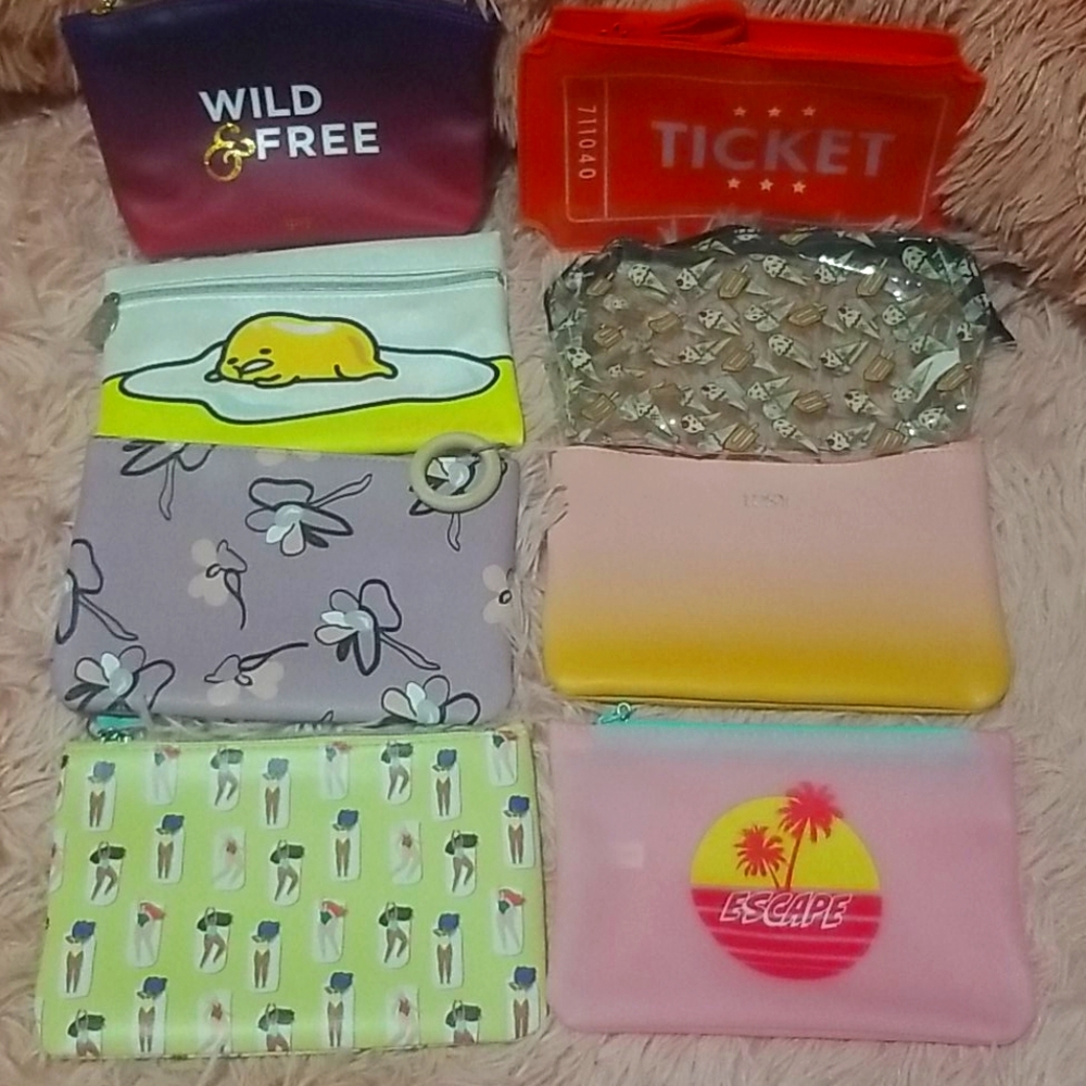IPSY makeup bags